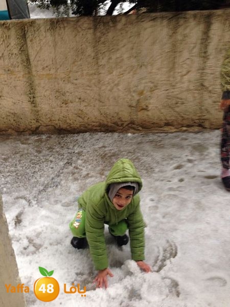 iceman lud 1213 (90).jpg